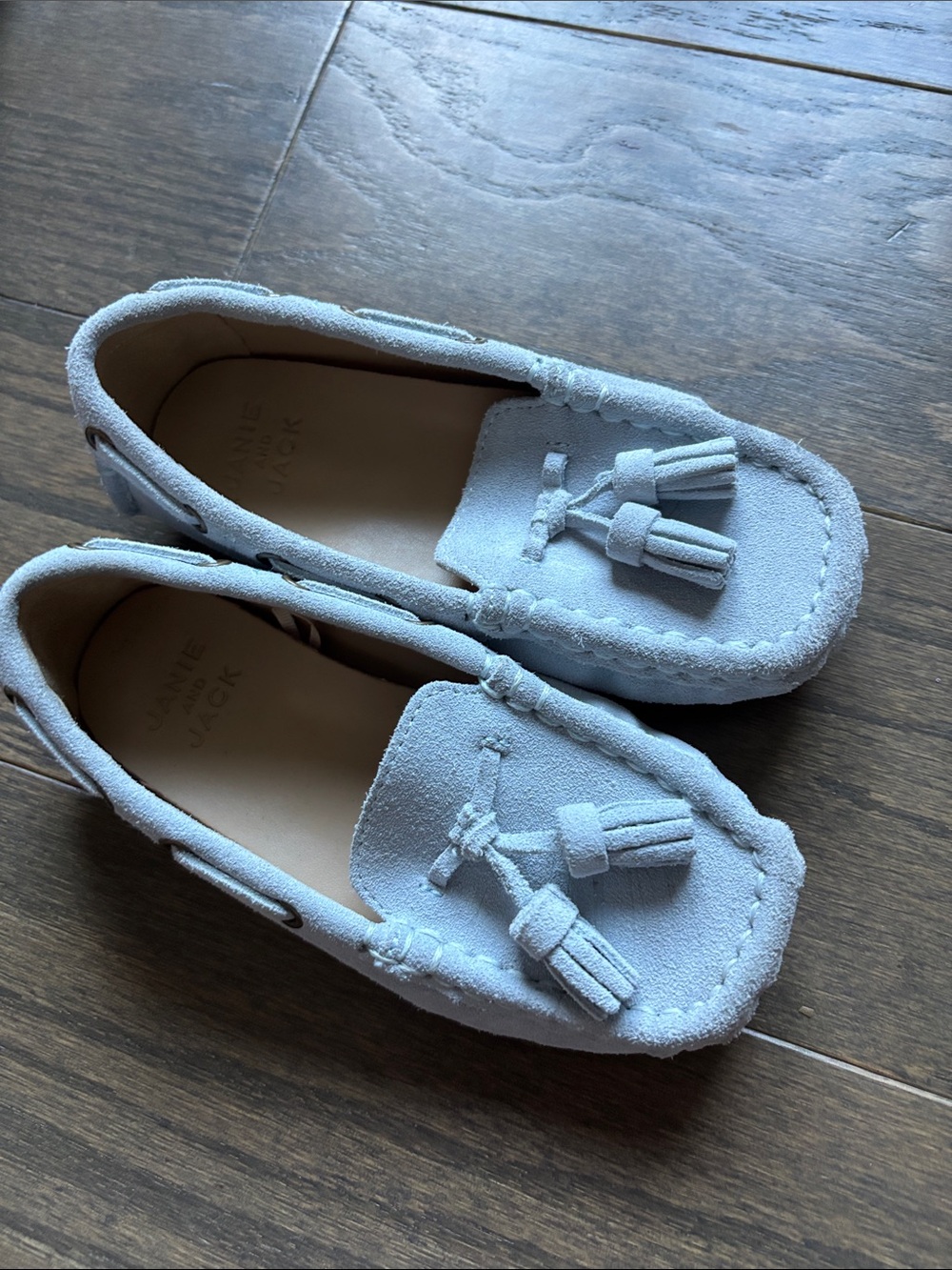 Janie and Jack Kids Blue Suede Tassel Moccasins